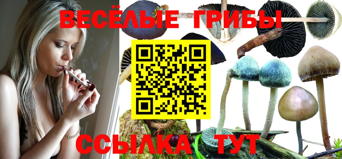 Дагестанские Огни  Галлюциногенные грибы мицелий  Галлюциногенные грибы Magic Shrooms  Вход с VPN 