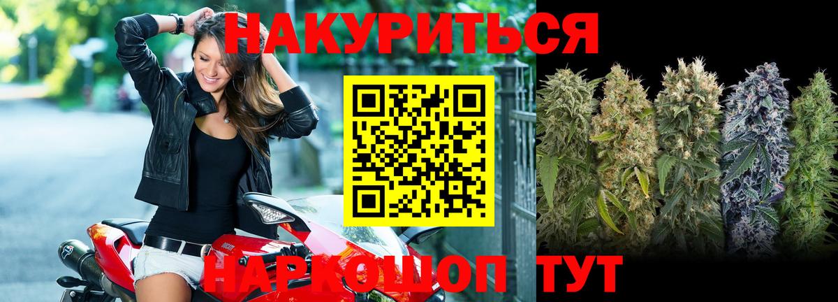 Каннабис White Widow  Шишки марихуана тримм  Вход с VPN  Дагестанские Огни 