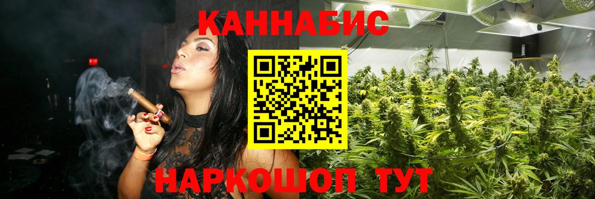 Бошки Шишки SATIVA & INDICA Дагестанские Огни